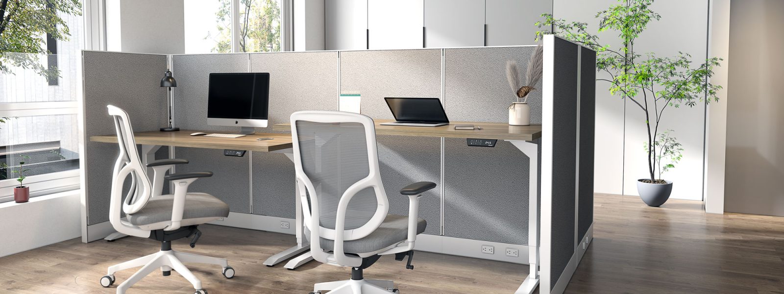 TANGO-in-office